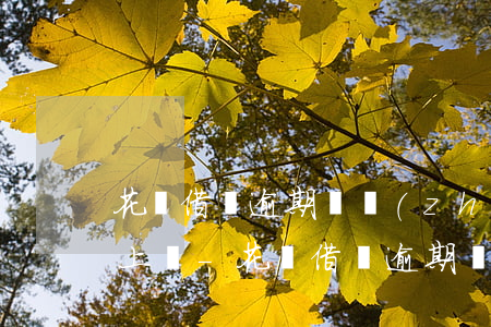 花唄借唄逾期讓準(zhǔn)備資料說要上門-花唄借唄逾期讓準(zhǔn)備資料說要上門是真的嗎