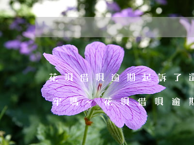 花唄借唄逾期起訴了還不上會(huì)坐牢嗎-花唄借唄逾期起訴了還不上會(huì)坐牢嗎怎么辦