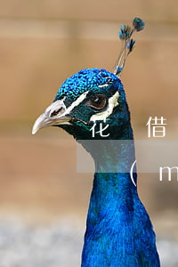 花唄借唄逾期超90天 花唄借唄逾期60天沒(méi)還,會(huì)打通訊錄嗎