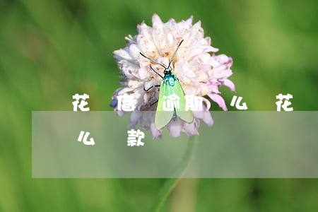 花唄借唄逾期這么辦(花唄借唄逾期這么辦怎么還款)
