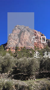 花唄借唄逾期還完了還會打電話-花唄借唄逾期還完了還會打電話催收嗎