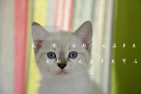 花唄借唄逾期還完后多久可以再用-花唄借唄逾期還完后多久可以再用啊