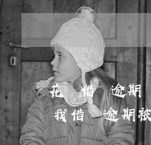 花唄借唄逾期還清說(shuō)還要起訴我(借唄逾期被起訴后怎么還款)
