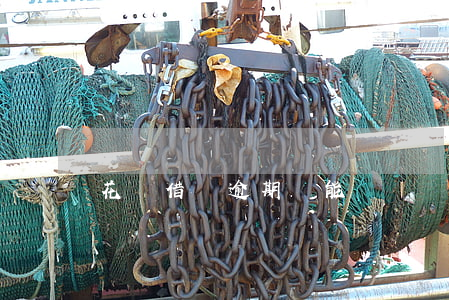 花唄借唄逾期還能搖號嗎