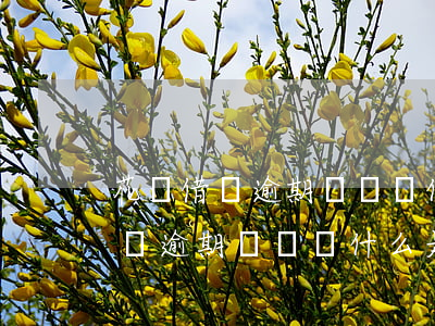 花唄借唄逾期電話為什么是010-花唄借唄逾期電話為什么是01086