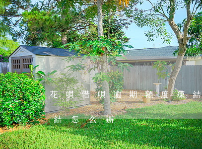 花唄借唄逾期額度凍結(花唄借唄逾期額度凍結怎么辦)