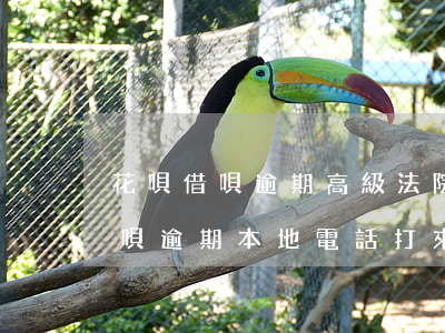 花唄借唄逾期高級法院打電話給我-花唄借唄逾期本地電話打來說上面起訴
