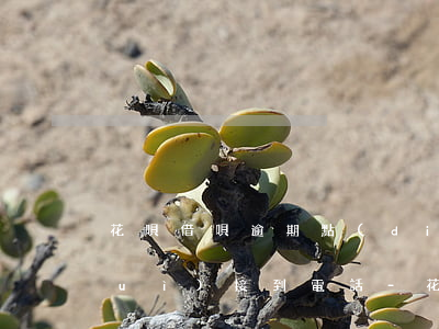 花唄借唄逾期點(diǎn)擊反饋會(huì)接到電話-花唄借唄逾期點(diǎn)擊反饋會(huì)接到電話嗎