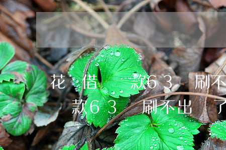 花唄借唄還款63萬刷不出來了-花唄借唄還款63萬刷不出來了怎么辦