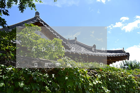 花唄借唄還款日期什么時候更新-花唄借唄還款日期什么時候更新的