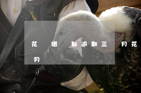 花唄借唄都逾期三個月(花唄借唄都逾期三個月)