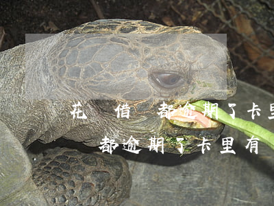 花唄借唄都逾期了卡里有錢誰先扣-花唄借唄都逾期了卡里有錢誰先扣款