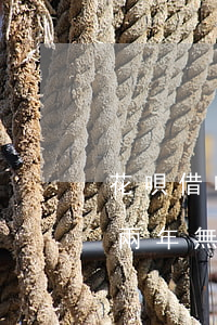 花唄借唄都逾期兩年了(支付寶借唄花唄逾期兩年無(wú)力償還會(huì)不會(huì)坐牢)