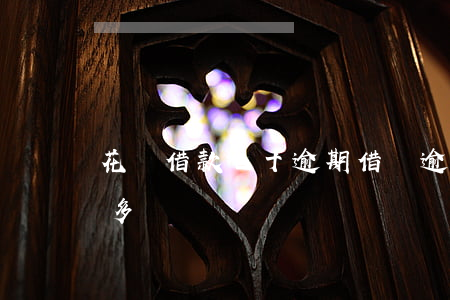 花唄借款七十逾期(借唄逾期7萬(wàn)多)