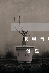 花唄借款還不起怎么辦（借花唄無(wú)力償還）