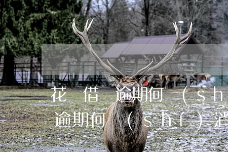 花唄借貸逾期何時(shí)消除(花唄借貸逾期何時(shí)消除)