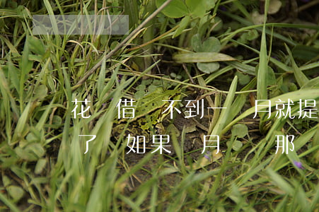花唄借錢不到一個月就提示已逾期-花唄借了錢如果這月沒還那會咋樣