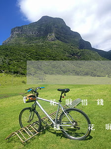 花唄借錢逾期一直不處理會(huì)怎么樣-花唄的逾期沒(méi)有還清借唄是不是無(wú)法使用