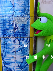 花唄備用金可以逾期嗎(備用金花唄逾期了還款后多久可以使用)