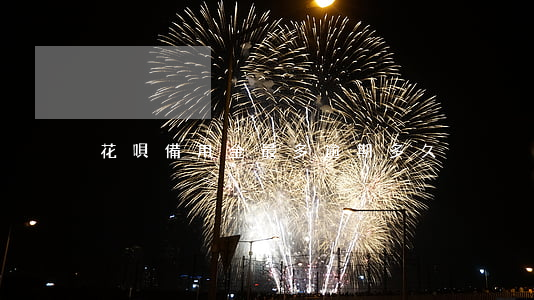 花唄備用金最多逾期多久