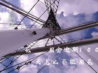花唄備用金逾期100天(花唄備用金逾期了幾天怎么不能用花唄了)