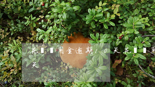 花唄備用金逾期10天(花唄備用金逾期10天)