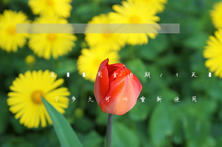 花唄備用金逾期13天(備用金逾期花唄被停了多久可以重新使用)