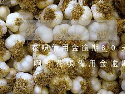 花唄備用金逾期60天多久能開(kāi)啊-花唄備用金逾期60天多久能開(kāi)啊