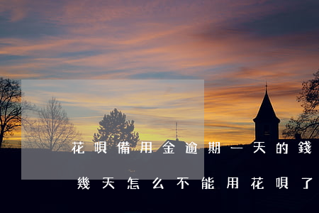 花唄備用金逾期一天的錢(花唄備用金逾期了幾天怎么不能用花唄了)
