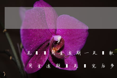 花唄備用金逾期一天還款多久能用-花唄備用金逾期兩天還完后多久可以再用