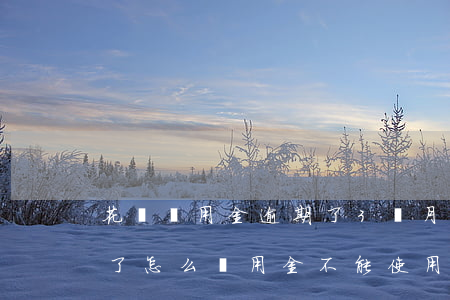 花唄備用金逾期了3個月(花唄逾期了幾天還了怎么備用金不能使用了)