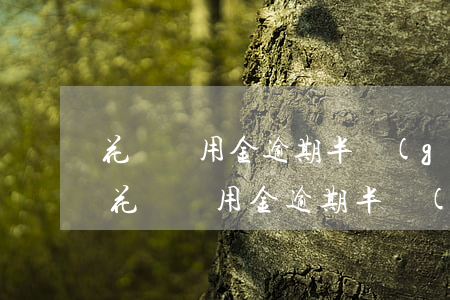 花唄備用金逾期半個(gè)月多久能用-花唄備用金逾期半個(gè)月多久能用啊