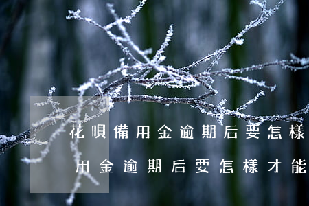 花唄備用金逾期后要怎樣才能去用-花唄備用金逾期后要怎樣才能去用呢