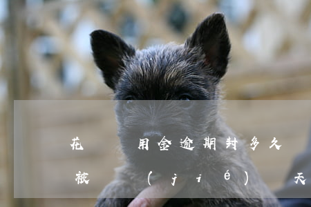 花唄備用金逾期封多久(備用金逾期6天花唄被凍結(jié)幾天可以解除)