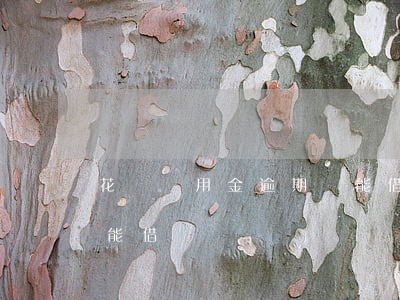 花唄備用金逾期還能借嗎(花唄備用金逾期還能借嗎)