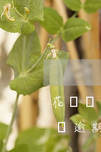 花唄備用金都沒(méi)錢(qián)還逾期了怎么辦-花唄備用金都沒(méi)錢(qián)還逾期了怎么辦呢