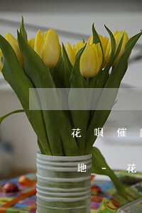 花唄催款通告函發(fā)往戶(hù)籍地-花唄催款通告函發(fā)往戶(hù)籍地要查銀行流水