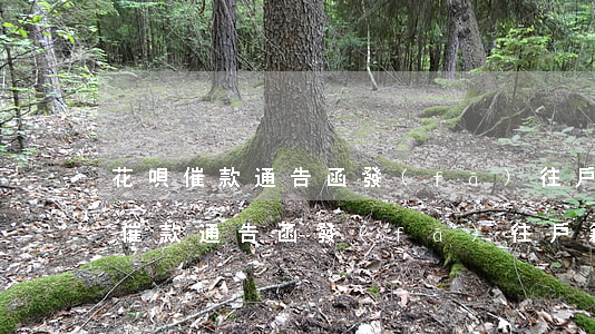 花唄催款通告函發(fā)往戶籍地-花唄催款通告函發(fā)往戶籍地要查銀行流水