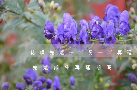 花唄先還一半另一半再延期還款-花唄可以先還部分再延期嗎