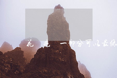 花唄先還一部分可以最低還款嗎-