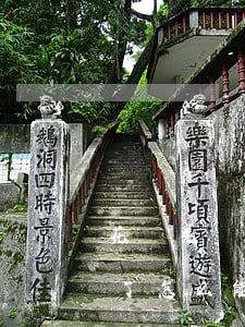 花唄先還逾期后再還本金(花唄怎么逾期好久了,怎么能只還本金)