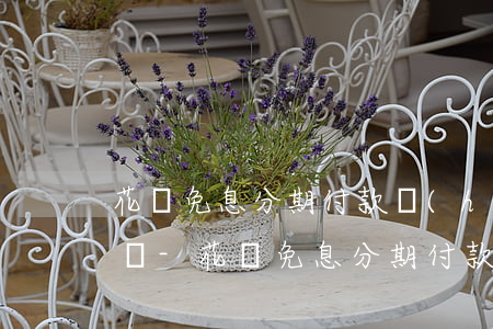 花唄免息分期付款會(huì)占花唄額度嗎-花唄免息分期付款會(huì)占花唄額度嗎