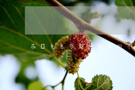 花唄免息分期付款真的不要利息嗎
