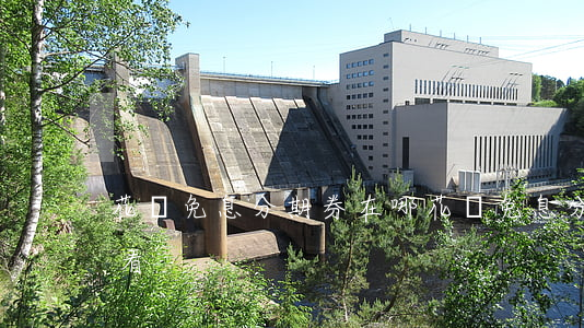 花唄免息分期券在哪(花唄免息分期券在哪里看)