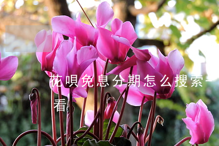 花唄免息分期怎么搜索-花唄分期免息怎么看