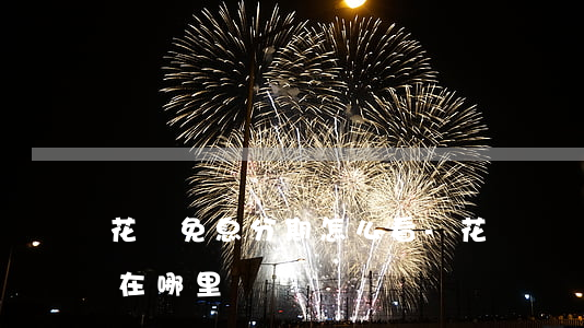 花唄免息分期怎么看-花唄賬單分期免息券在哪里