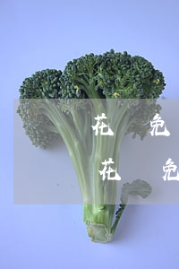 花唄免息分期手續(xù)費(fèi)-花唄免息分期要收取手續(xù)費(fèi)嗎
