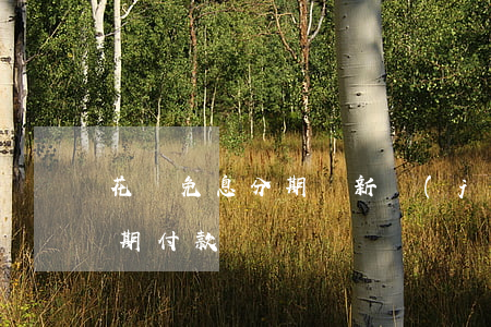 花唄免息分期購新機(jī)-花唄免息分期付款