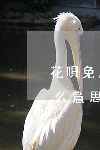 花唄免息分期額度限制(花唄分期免息額度什么意思)