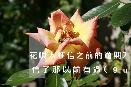 花唄入征信之前的逾期(2020年花唄上征信了那以前有過(guò)逾期會(huì)有影響嗎?)